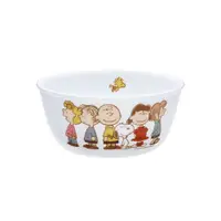 在飛比找蝦皮商城優惠-【康寧 Corelle】史努比 SNOOPY Friends