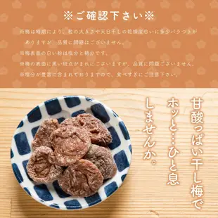 博屋 梅乾 300g x 5包 梅子 梅干 單獨包裝 圓潤梅干 常溫保存 夾鏈袋裝日本必買 | 日本樂天熱銷