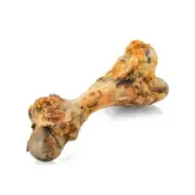 Next Generation Pork Bone Dog Treat 5 Pck