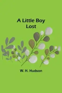 在飛比找博客來優惠-A Little Boy Lost