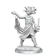 WZK75096 Wizkids/NECA Dungeons & Dragons Frameworks: W02A Medusa