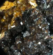 Fluellite Crystals. Tom's Quarry. Sth Australia (EA10092) rare phosphates