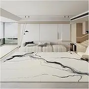 Modern Minimalist Carpets for Living Room Luxury Bedroom Decor Black White Carpet Fluffy Soft Lounge Rug Thicken Plush Floor Mat(C,80x160cm)