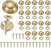 uxcell Brass Decorative Screws with Caps, Mirror Screw Self Tapping Screws Decorative Cover - Fitting for(Furniture Fixing- Wall Hangings - Wood Handcrafted) 15mm & 20 Pack & Yellow
