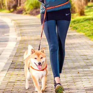 寵物胸背帶 狗狗牽引繩胸背帶小型中型大型犬狗錬背心式柴犬柯基寵物遛狗繩子【XXL16239】