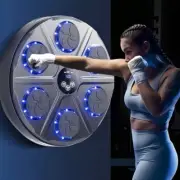 Smart Boxing LED Bluetooth Music Wall Mount Reaction Movement Trainer