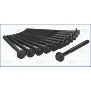 Austral Cylinder Head Bolt Set - 81033000