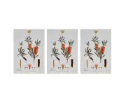 3x Maxwell & Williams Royal Botanic Garden Cotton Tea Towel Cloth Bottlebrush