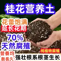 在飛比找蝦皮購物優惠-【🤣臺灣出貨】桂花樹專用土 適用土疏鬆 透氣 盆栽 綠植專用