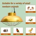 Chicken Coop Heat Lamp 150W-300W Brooder Heating for Chicks Hanging Halogen lamp