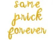 SAME PRICK FOREVER Cursive Letter Balloon Banner - Bachelorette Party Decoration