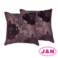 在飛比找鮮拾優惠-【J&N】伊莎締爾抱枕-45x45cm 紫(2 入/1組)