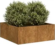 Raised Garden Bed, Elevated Planter Box Plant Container Rusty 80x80x30 cm Weathering Steel