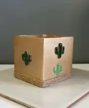 Hand Painted Square Terracotta Pot or Planter - Gold Cactus
