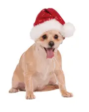 Sequin Santa Pet Hat