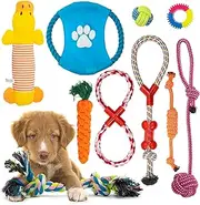 Fur & Bone 10 Pack Dog Chew Toys | Puppy Toys Dog Toys for Boredom | Indestructible Dog Toys with Rope Toys, Squeaky Toy | Dog Toy, Dog Teething Toys for Small & Medium Dogs | Dog