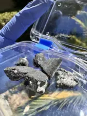 meteorite:El Menia:Weight 7.793Grams. New Fall, Found Recently. Beautiful