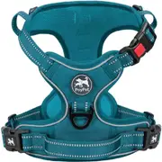Adjustable pet leash with 2 leash clips, choke-free reflective Oxford outdoor vest, padded handle for easy maneuvering (Tumalo Teal,M)