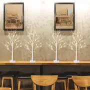 Christmas Tree for Home Decor, 2 FT Tabletop Tree with LED Lights, White Birch T