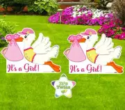 Twin Baby Yard Stork Signs Kit, Lawn Birth Announcement, Newborn Art Decoration