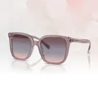 在飛比找PChome24h購物優惠-【COACH】時尚膠框太陽眼鏡(HC8381F-57820J