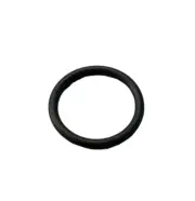 Topeak Pump Spare. #31 O Ring for mountain morph and Peakini 2 and others.