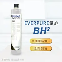 在飛比找momo購物網優惠-【Pentair】EVERPURE 美國原廠平行輸入 BH2