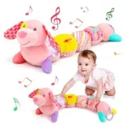 Soft Sensory Baby Toys 0-6 Months Musical Stuffed Animal Plush Dog Toy for