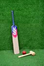DSC English willow cricket bat Grade 1 free Leather Ball