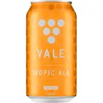 Vale Hazy Tropic Ale Can 375mL