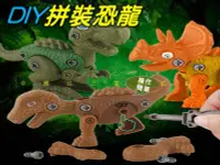 在飛比找Yahoo!奇摩拍賣優惠-DIY拼裝恐龍 仿真恐龍模型玩具 益智組裝玩具 模型動手 Q