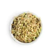 Buckwheat Sprouting Seeds