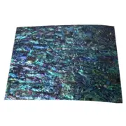 Abalone Shell Laminate Sheet Black Back Wood Inlay Home Crafts Decors 140×240xmm