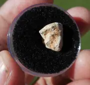 0.89 gram TOUAT 005 - Lunar (feldsp. breccia) Meteorite in "As Found" Condition