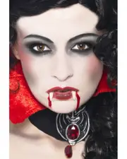 Vampire Make Up Set