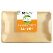 Raj Disposable Palm Leaf Party Serving Trays and platters | Like Bamboo Tray,