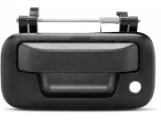 Rear Tailgate Handle and Bezel Kit For 2004 Ford F150 Heritage DR971SN (for: Ford)