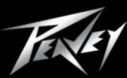 Peavey DX14 High Freq.drivers