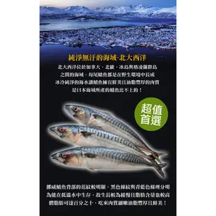 愛上生鮮 老饕挪威薄鹽鯖魚(4/6/8/12片)營養CP值高 Omega-3低(180g/片)現貨 現貨 廠商直送