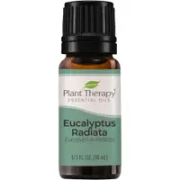 在飛比找樂天市場購物網優惠-澳洲尤加利精油 Eucalyptus Radiata Ess