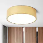 Dimmable Modern Flush Mount Ceiling Light Fixture,Painted Gold round LED Ceiling