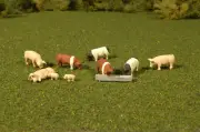 Bachmann 33118 HO Scale Pigs SceneScapes