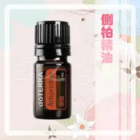 在飛比找蝦皮購物優惠-【多特瑞 doTERRA】側柏精油 5ml 台版公司貨