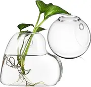 Garneck 2Pcs Wall Planters Glass Terrarium Holder for Hydroponics Plants Durable Borosilicate Wall Hanging Vases for Indoor Garden Decor Easy Installation with Included Mounting