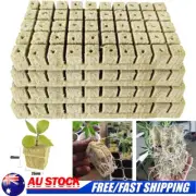 50-200Pcs Grow Starter Rockwool Cubes Plant Hydroponic Planting Clon Propagation