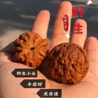 在飛比找樂天市場購物網優惠-文玩核桃悶尖天地獅子頭關公二爺帽野生馬老四粗筋野牛收藏級把玩