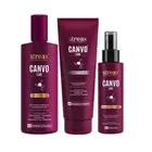 Streax Canvoline Shampoo 300ml + Conditioner 240ml + Serum 100ml) Pack Of 3