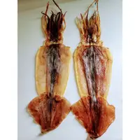 在飛比找蝦皮購物優惠-阿根廷魷魚（一尾95-120g/買10尾送一） 尤魚乾（新鮮
