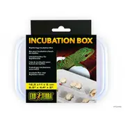 Incubation Box Reptile Egg Box by Exo Terra (16.5cm x 11cm x 5cm)