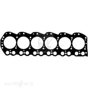 KCH Heads Head Gasket - 20069054